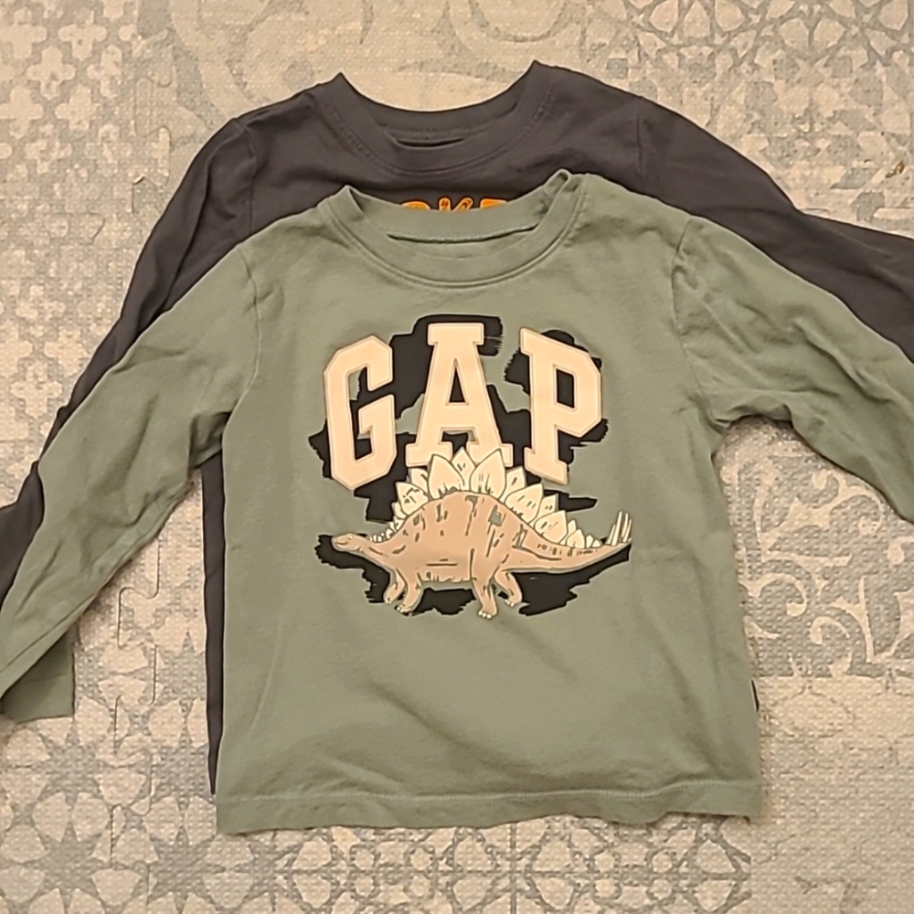 2 Long Sleeve Tee Shirts Size 3T Dinosaur and Turkey Touchdown Green